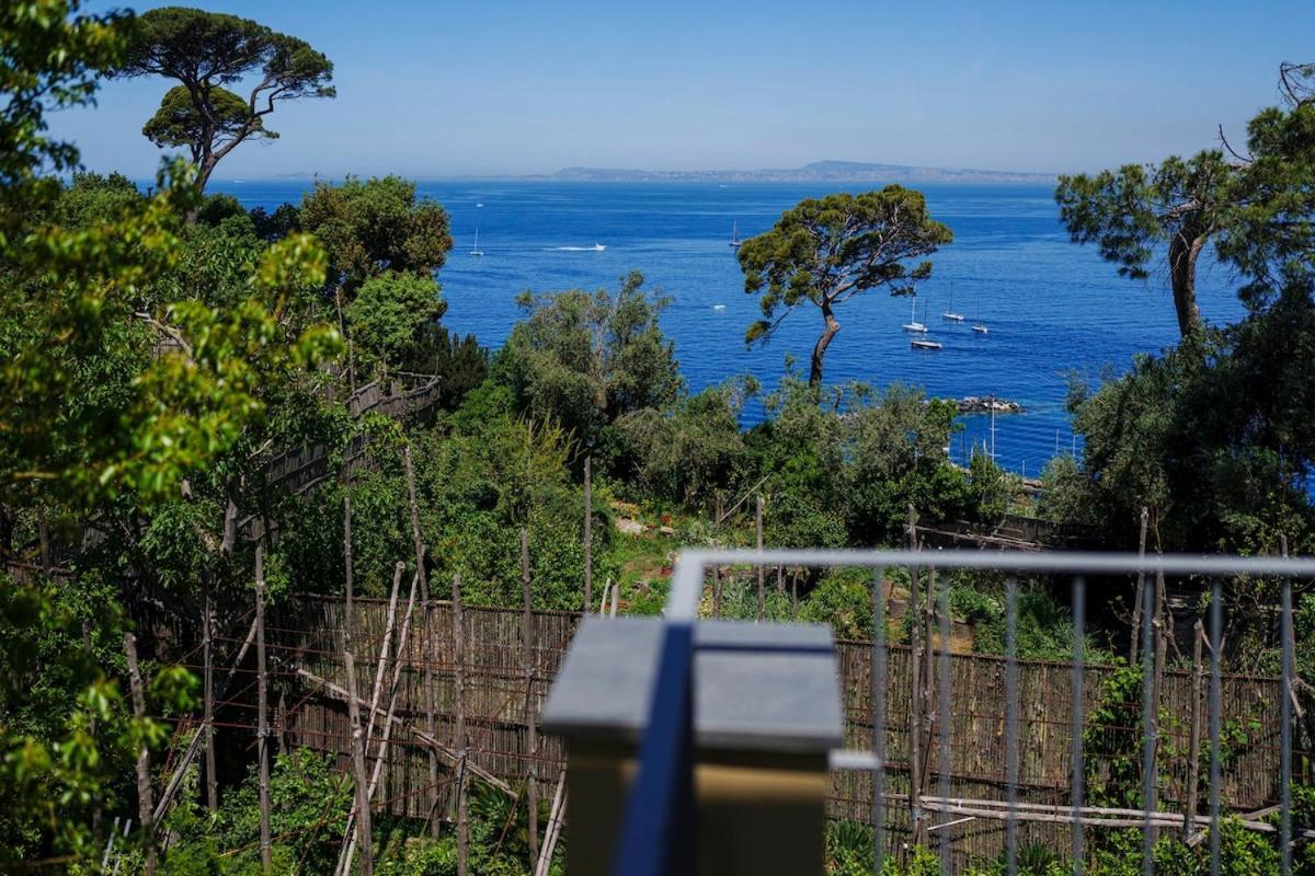 Villa Preziosa Al Pizzo 3 Km Da Sorrento Sant'Agnello Exterior foto