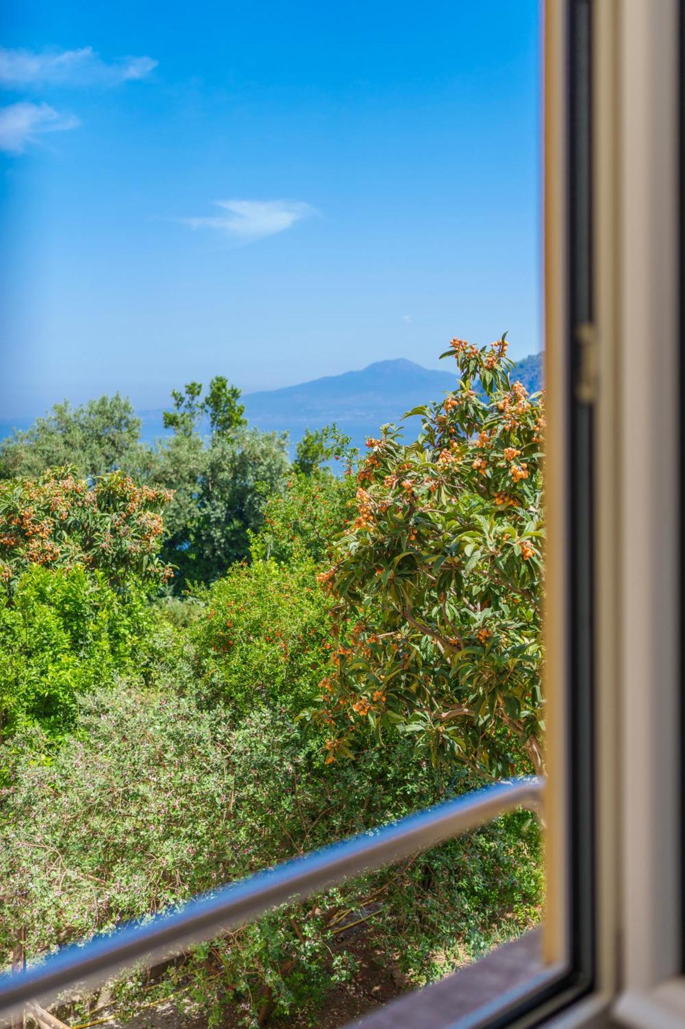 Villa Preziosa Al Pizzo 3 Km Da Sorrento Sant'Agnello Exterior foto